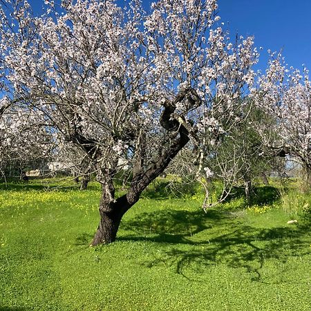 알쿠팀 Casa Tranquila Barrada 빌라 외부 사진