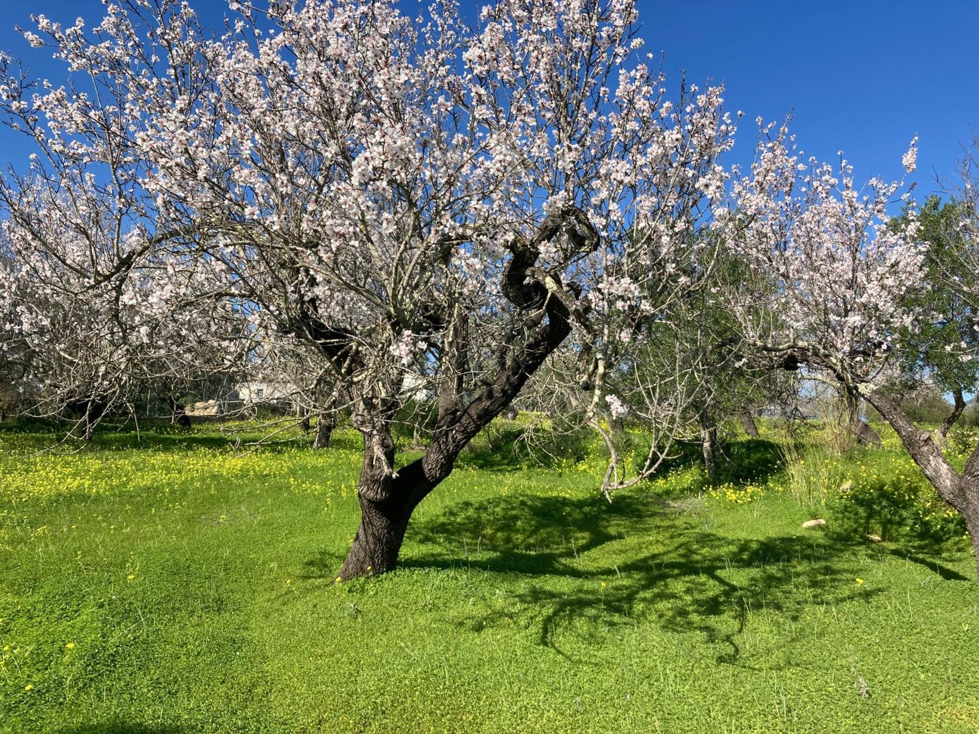 알쿠팀 Casa Tranquila Barrada 빌라 외부 사진